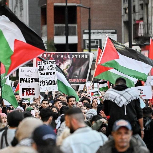 Quebec court grants Jewish group injunction against pro-Palestinian protesters